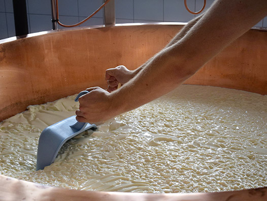 Cheese making tank